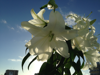 image-20130801222002.png