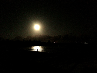 image-20131023220818.png